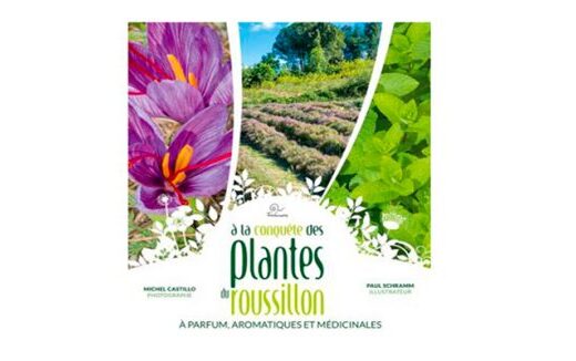 À la conquête des plantes à parfum, aromatiques et médicinales du Roussillon