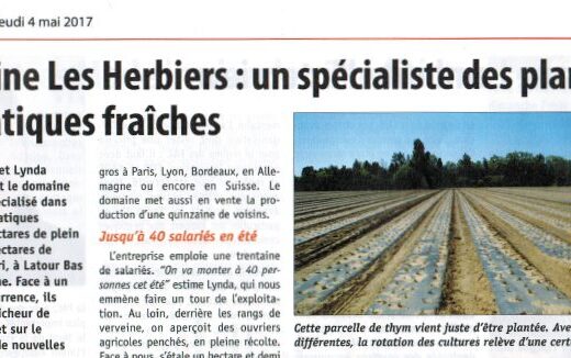 Domaine Les Herbiers : un spécialiste des plantes aromatiques fraiches