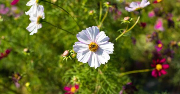 Domaine-des-herbiers-demarche-eco-responsable