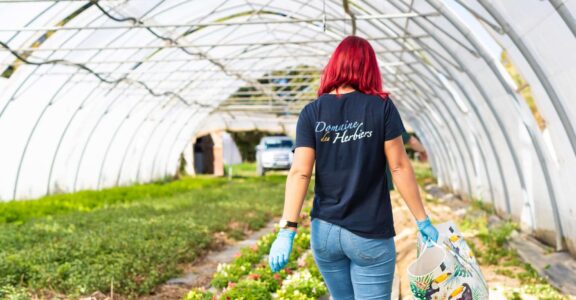 Domaine les herbiers
