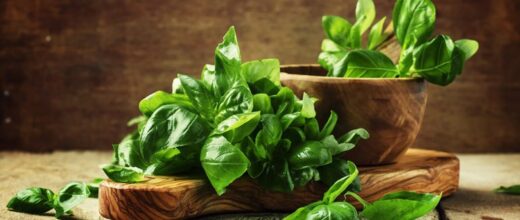 La&#x20;feuille&#x20;de&#x20;basilic,&#x20;l&#x2019;herbe&#x20;aromatique&#x20;qui&#x20;s&#x2019;invite&#x20;dans&#x20;vos&#x20;assiettes