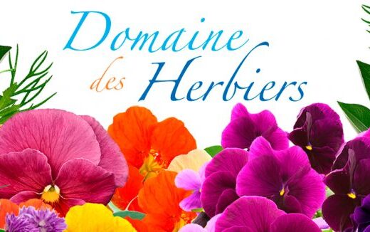 Les fleurs comestibles du Domaine des Herbiers