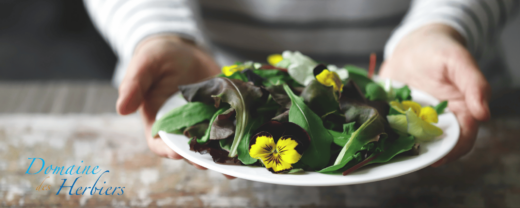 Des&#x20;pens&#x00E9;es&#x20;pour&#x20;un&#x20;hiver&#x20;tout&#x20;en&#x20;douceur,&#x20;venez&#x20;d&#x00E9;couvrir&#x20;notre&#x20;nouvelle&#x20;recette.