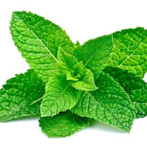Menthe Verte