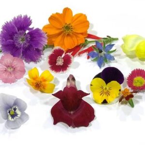 Mixte fleurs