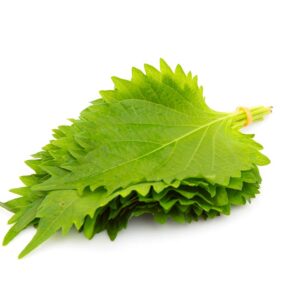 Shiso