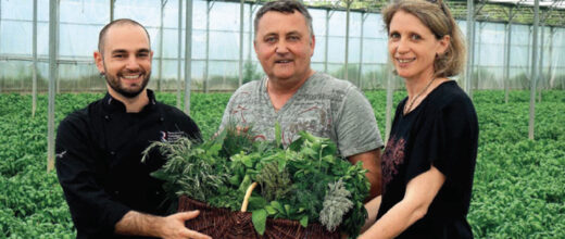 Les&#x20;Herbiers&#x20;dans&#x20;Terres&#x20;de&#x20;chefs&#x20;&#x21;&#x21;