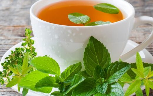 Février, la période idéale pour réaliser des tisanes aux herbes aromatiques
