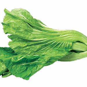 Feuille de Moutarde